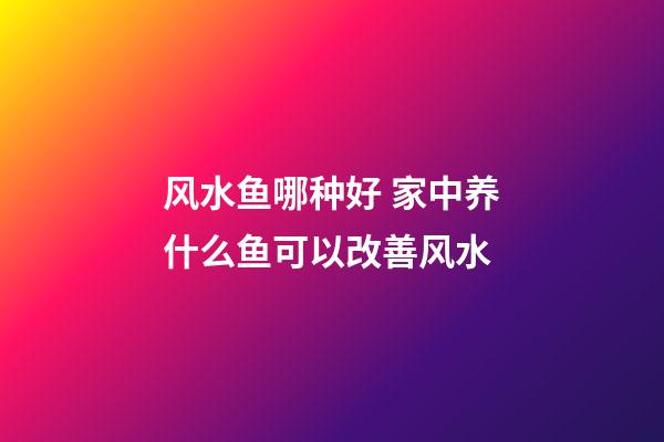 风水鱼哪种好 家中养什么鱼可以改善风水